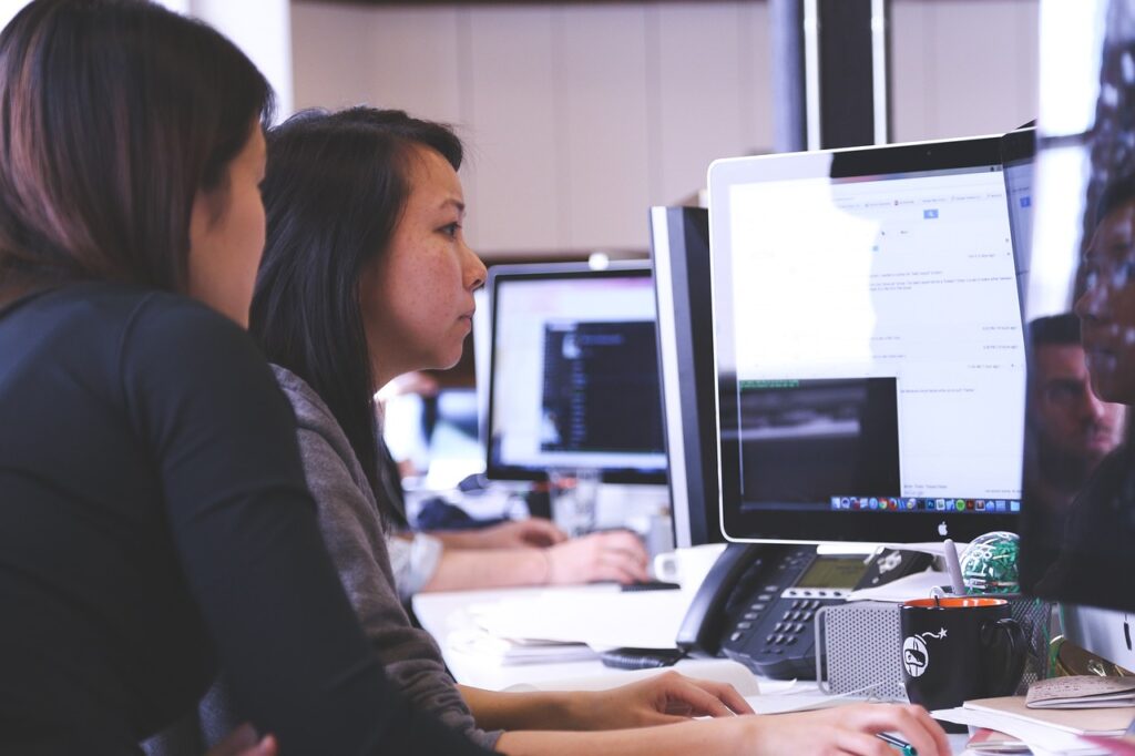 Women looking at the computer project.